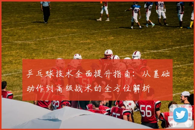 乒乓球技术全面提升指南：从基础动作到高级战术的全方位解析