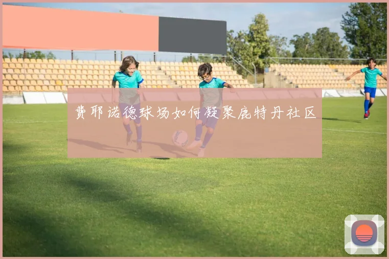 费耶诺德球场如何凝聚鹿特丹社区