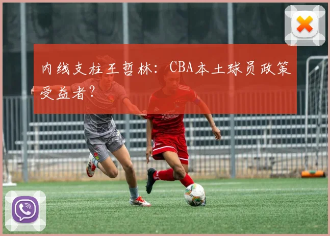 内线支柱王哲林：CBA本土球员政策受益者？