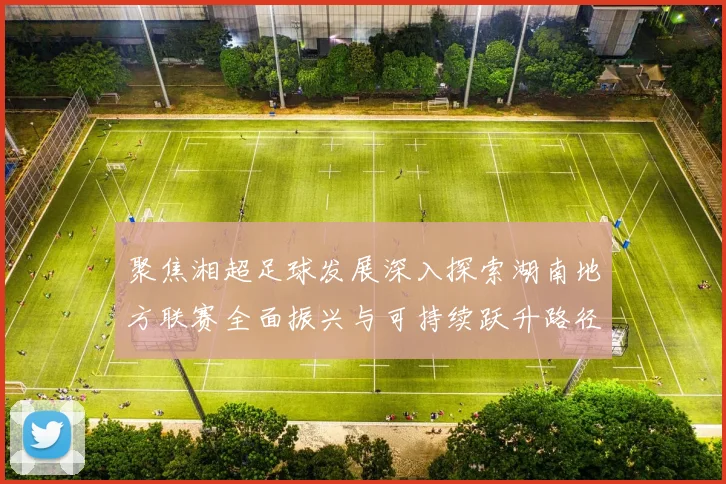 聚焦湘超足球发展深入探索湖南地方联赛全面振兴与可持续跃升路径